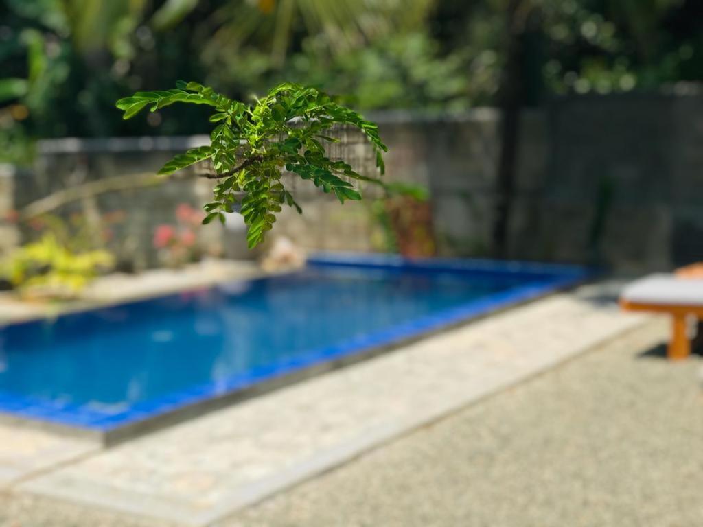 Peaceful Green Villa ウナワトゥナ エクステリア 写真