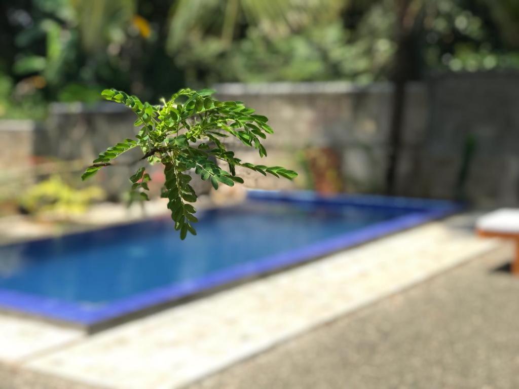 Peaceful Green Villa ウナワトゥナ エクステリア 写真